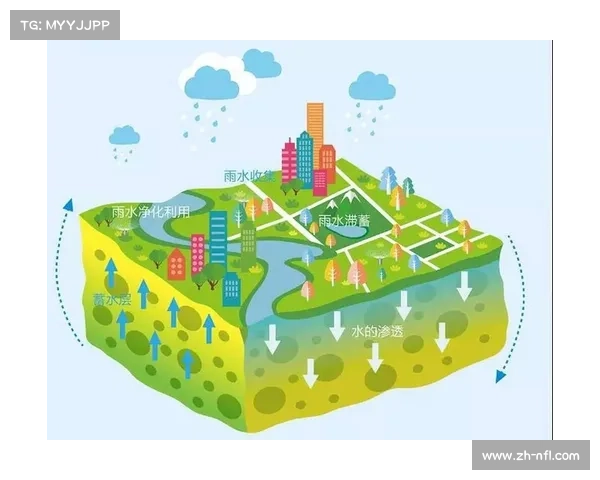 足球场馆绿色改造计划启动，太阳能与雨水回收系统安装